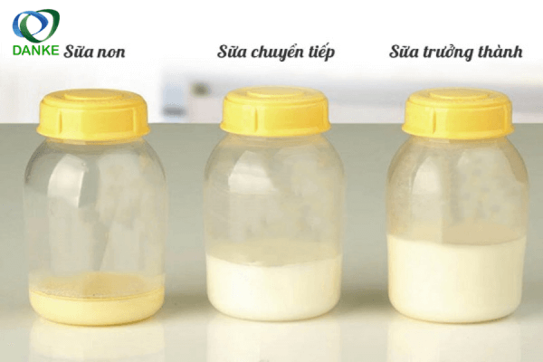 Sữa non có màu vàng đặc trưng, chất sánh đặc hơn các loại sữa mẹ xuất hiện sau đó